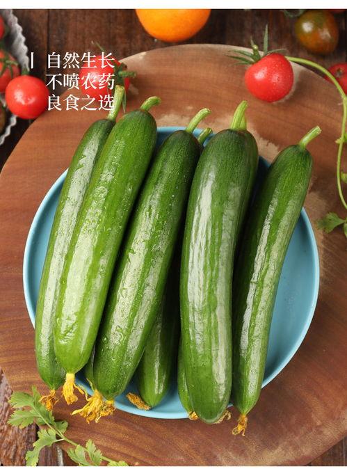 荷兰瓜可以吃吗,美味可口的食用之谜