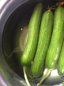 荷兰瓜可以吃吗,美味可口的食用之谜