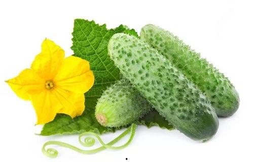 吃瓜系统温颜,温颜背后的秘密解析