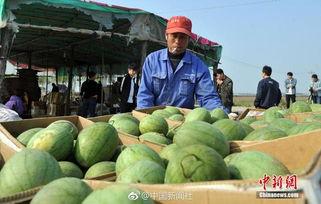 安新县吃瓜小视频,揭秘当地特色美食文化