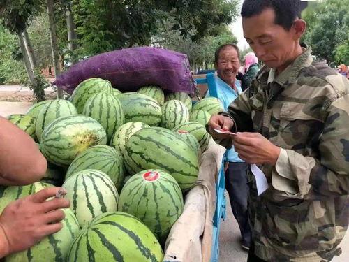 金昌吃瓜,探寻瓜果美食的甜蜜奥秘