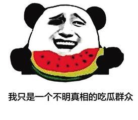 网络词汇吃瓜群众,网络时代的围观力量