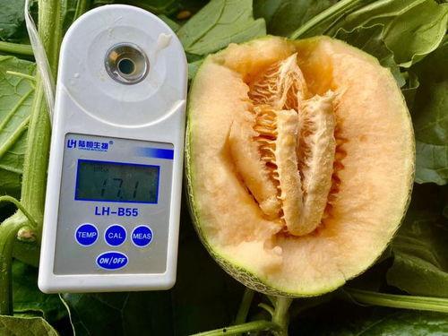 821吃瓜大全,揭秘娱乐圈那些不为人知的幕后故事