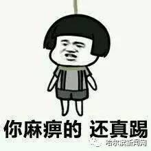 带你吃瓜奇葩答题,带你领略“吃瓜群众”的奇葩答题风采