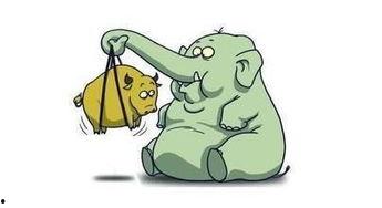 散户暴走吃瓜,揭秘股市风云变幻