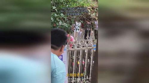 唱歌房吃瓜视频,一场吃瓜群众的视觉盛宴