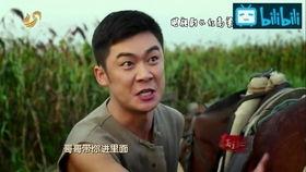 红高粱吃瓜直播,吃瓜群众的热闹盛宴